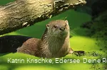 WildtierPark Edersee