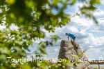 kind-kletterstein-ettelsberg c) david-heise-tourist-information-willingen.jpg