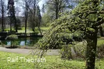 Der kleine Teich im Volkspark Meinerzhagen