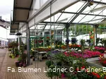 Blumen Lindner (4).jpg