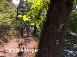 Drahthandelsweg Wanderer