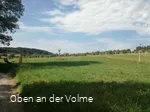 Blick auf den Obstsortengarten / die Streuobstwies