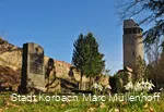 Fruehling Totenhagen Graeber Tylenturm