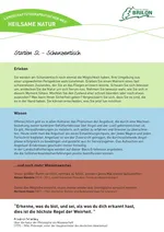 Infotafel Station 5c