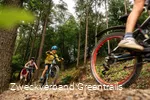 greentrails6